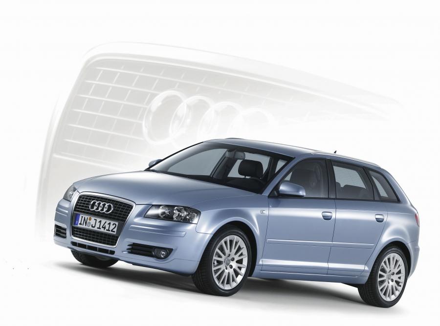  Audi A3 Sportback 1.9 TDI (8PA) 2004 года  (WW) (фото 20 из 23)